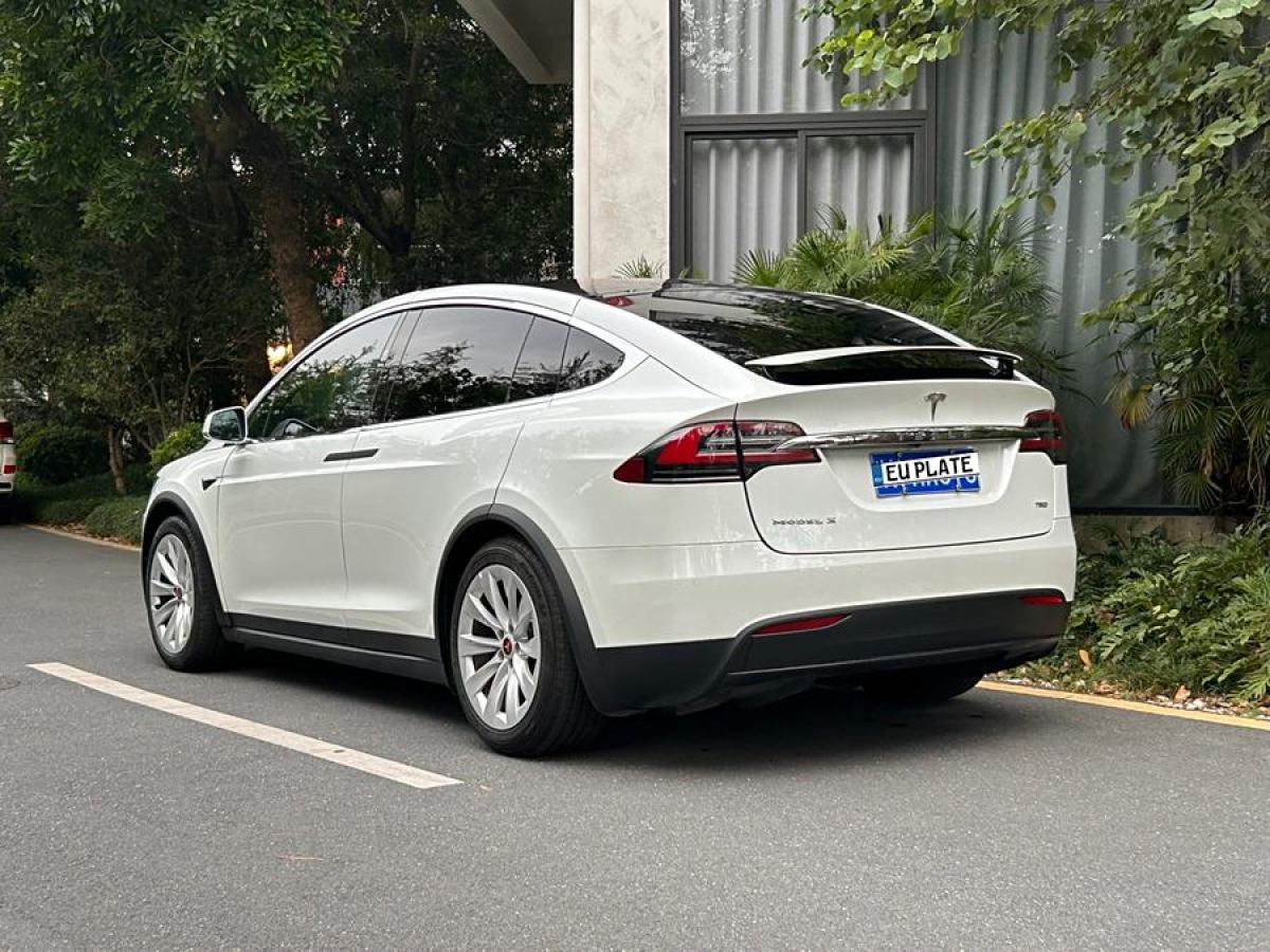 特斯拉 Model X  2016款 Model X 75D圖片