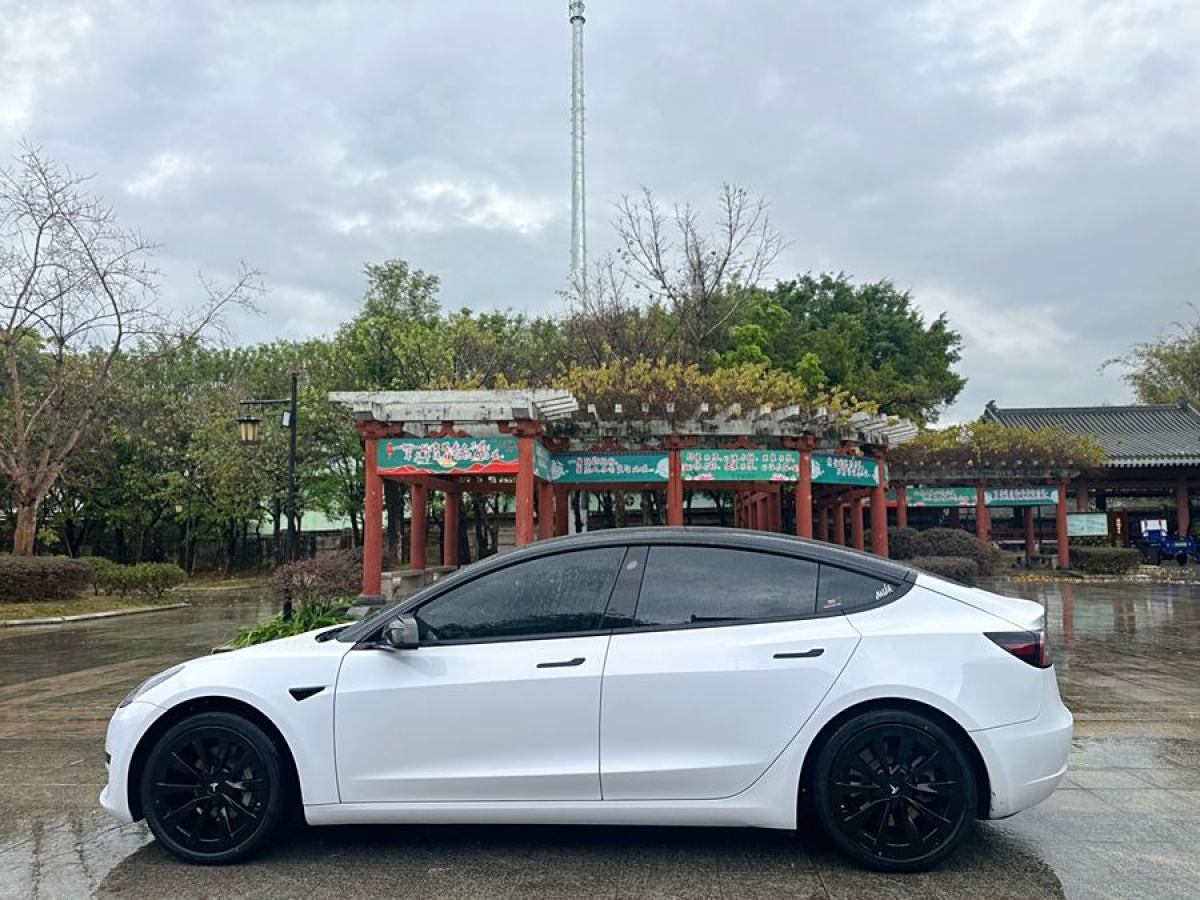 特斯拉 Model 3  2021款 標準續(xù)航后驅升級版 3D6圖片