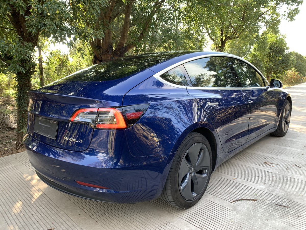 特斯拉 Model 3  2019款 標準續(xù)航后驅(qū)升級版圖片