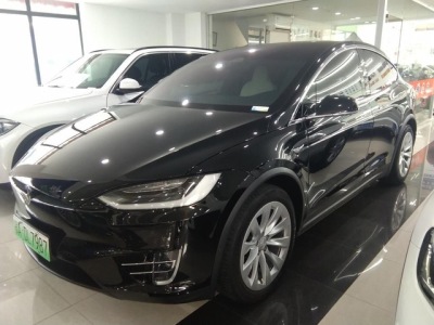 2019年4月 特斯拉 Model X 長(zhǎng)續(xù)航版圖片