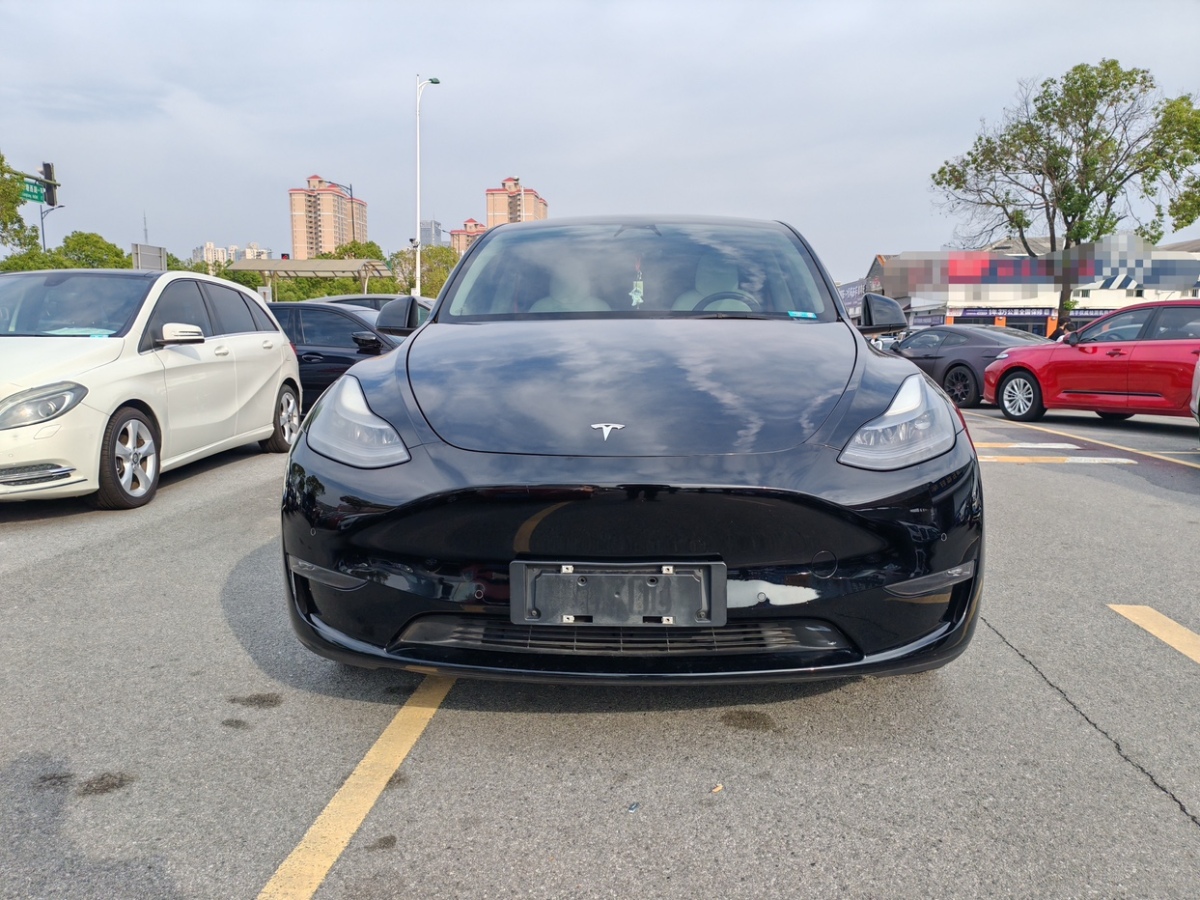 特斯拉 Model Y  2021款 改款 標準續(xù)航后驅升級版圖片