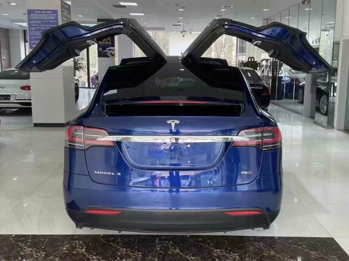 特斯拉 Model S  2017款 Model S 100D圖片