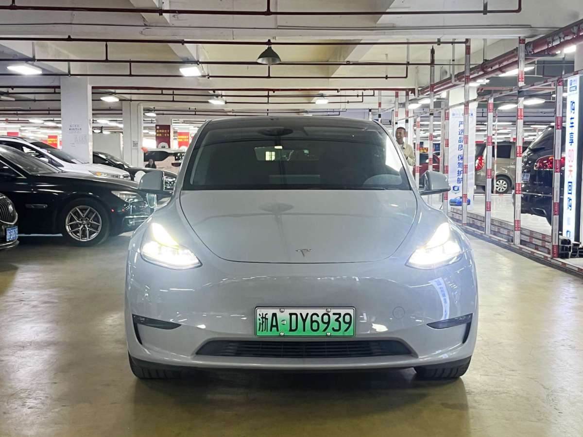 特斯拉 Model 3  2021款 長(zhǎng)續(xù)航全輪驅(qū)動(dòng)版 3D7圖片