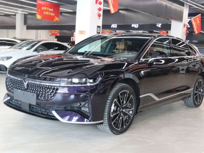 2024年3月  嵐圖追光 PHEV 四驅(qū)超長續(xù)航旗艦版圖片