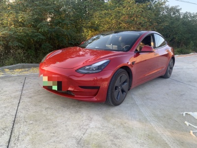 2021年3月 特斯拉 Model 3 標(biāo)準(zhǔn)續(xù)航后驅(qū)升級版圖片