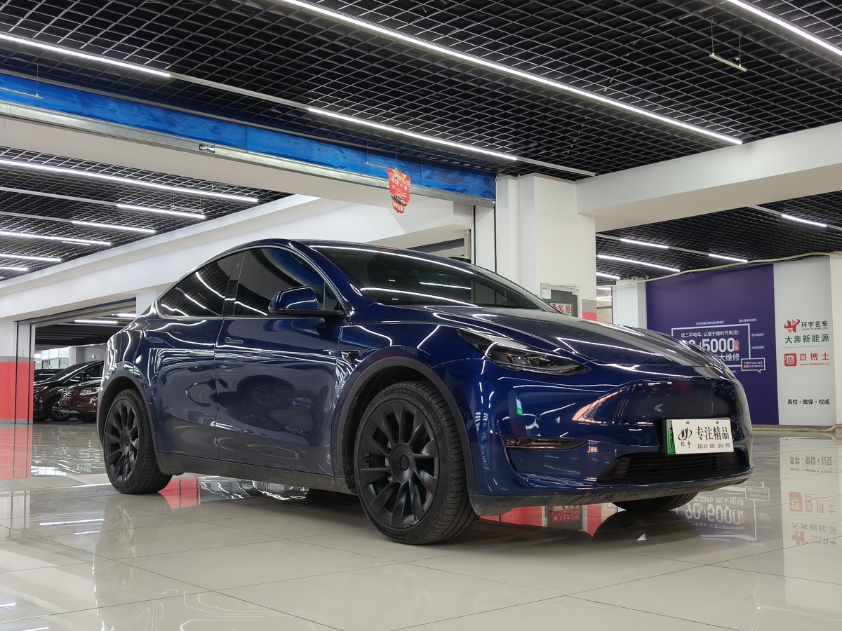 特斯拉 Model Y  2021款 改款 Performance高性能全輪驅(qū)動版圖片