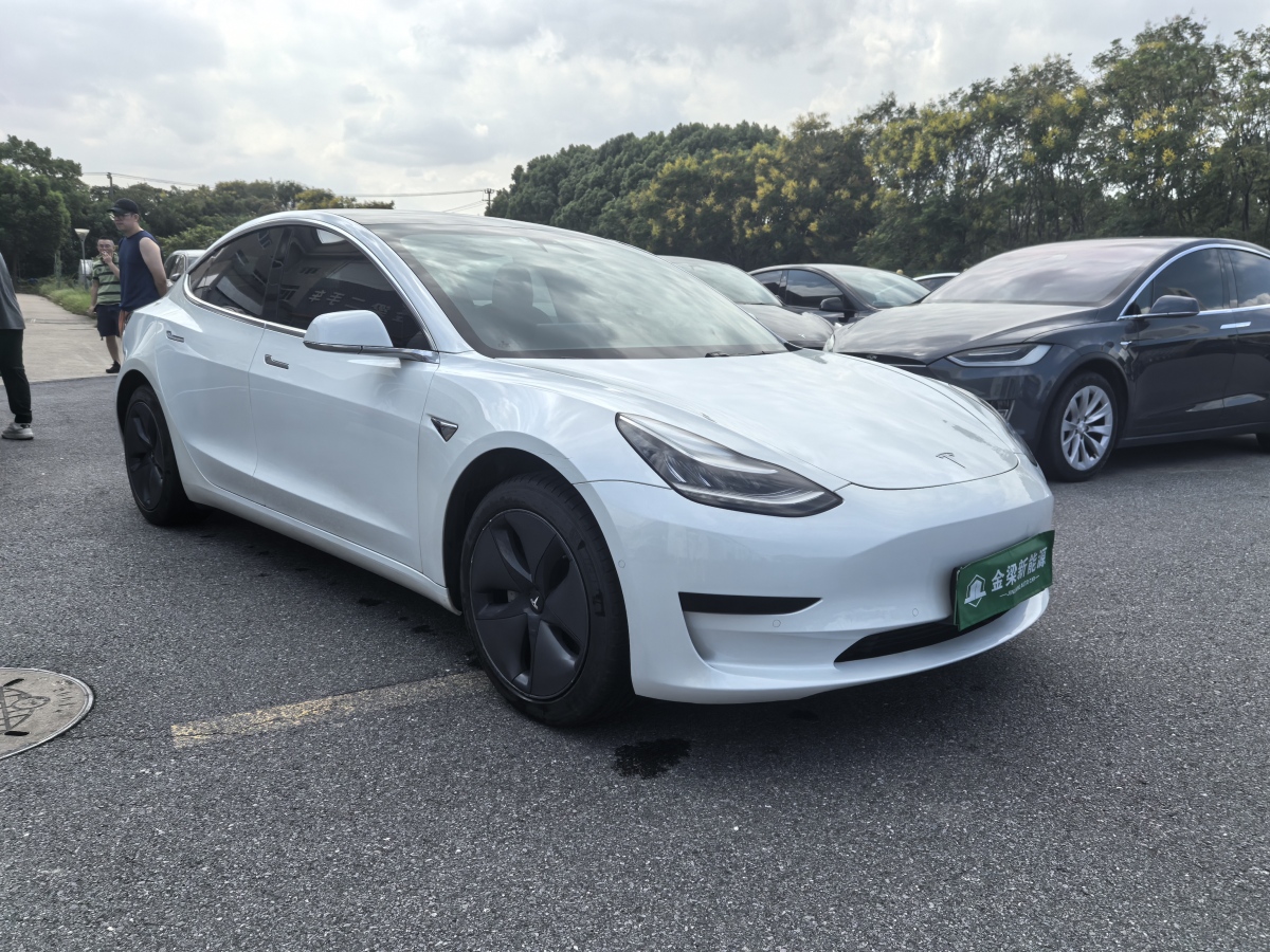 2020年4月特斯拉 Model 3  2019款 標(biāo)準(zhǔn)續(xù)航后驅(qū)升級(jí)版