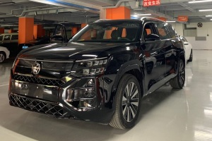 途昂 大眾 途昂 Pro 450TSI 四驅(qū)縱橫版