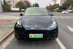 Model 3 特斯拉 Performance高性能全輪驅(qū)動版