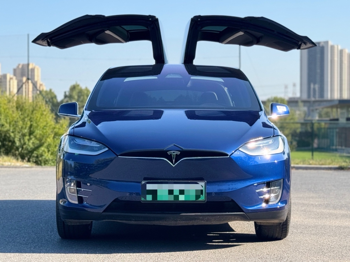 2019年4月特斯拉 Model X  2017款 Model X 100D 長(zhǎng)續(xù)航版