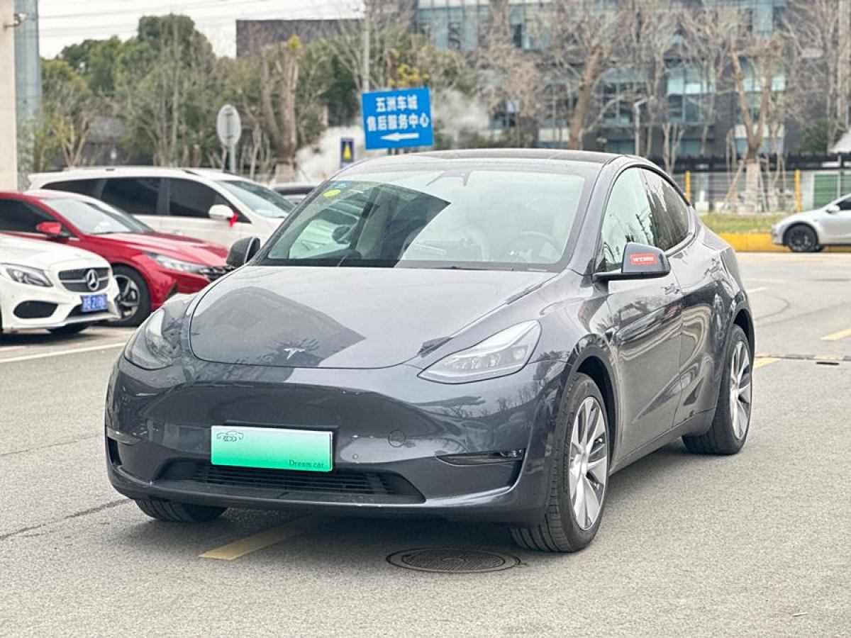 2021年4月特斯拉 Model Y  2021款 改款 長(zhǎng)續(xù)航全輪驅(qū)動(dòng)版