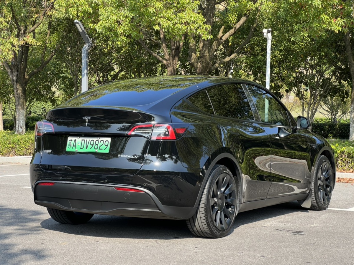 特斯拉 Model Y  2021款 改款 標準續(xù)航后驅(qū)升級版圖片