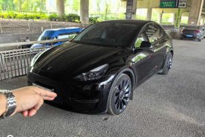 Model Y 特斯拉 Performance高性能版