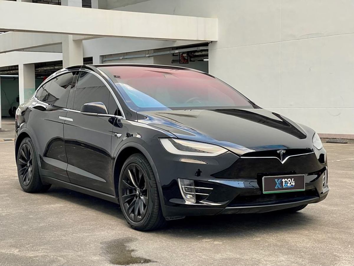 特斯拉 Model X  2016款 Model X 75D圖片