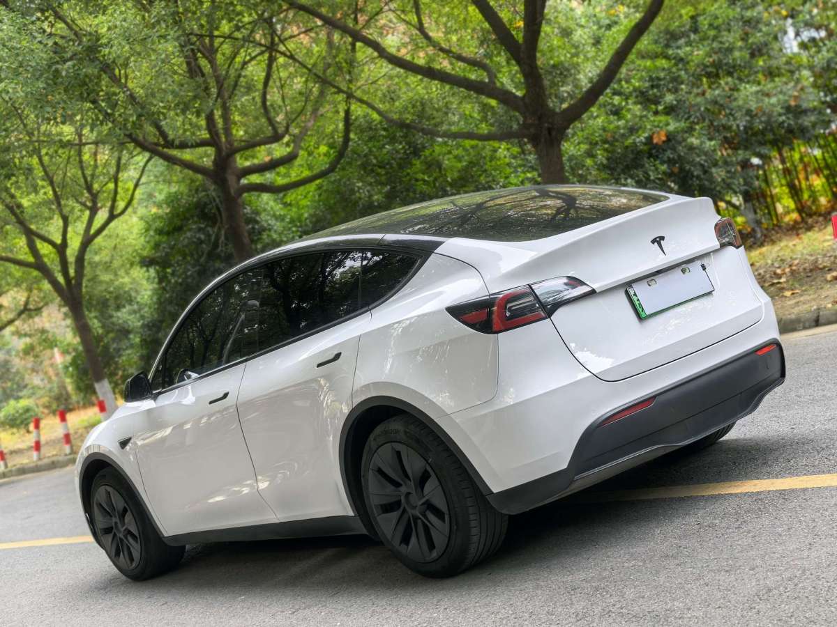 特斯拉 Model Y  2021款 標(biāo)準(zhǔn)續(xù)航后驅(qū)版圖片