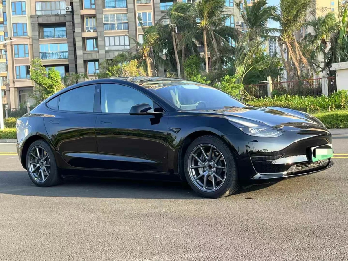 特斯拉 Model 3  2019款 標(biāo)準(zhǔn)續(xù)航后驅(qū)升級版圖片