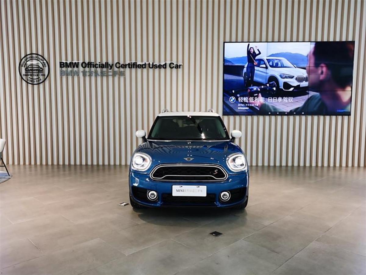 MINI COUNTRYMAN  2019款 2.0T COOPER S ALL4 藝術(shù)家圖片