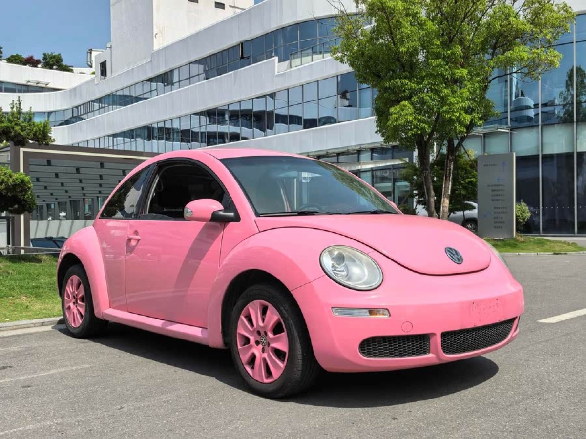大眾 甲殼蟲  2010款 1.6 AT圖片