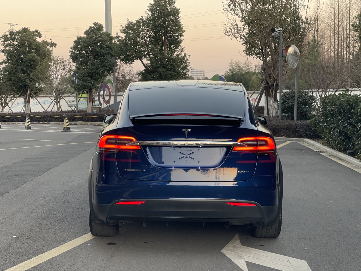 特斯拉 Model X  2017款 Model X 100D 長續(xù)航版圖片