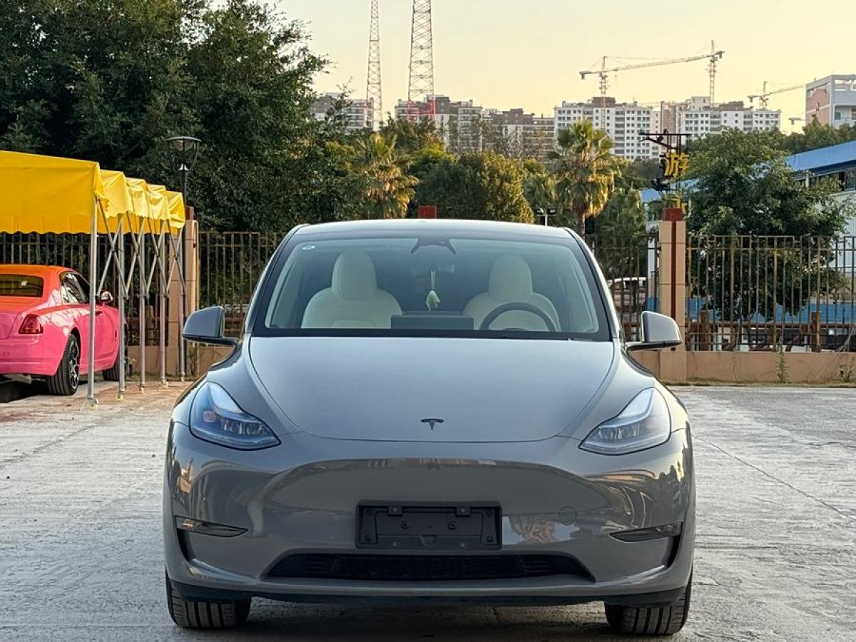 特斯拉 Model Y  2024款 長續(xù)航全輪驅(qū)動版圖片