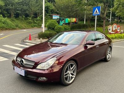 2010年8月 奔馳 奔馳CLS級(進口) 改款 CLS 300 動感型圖片