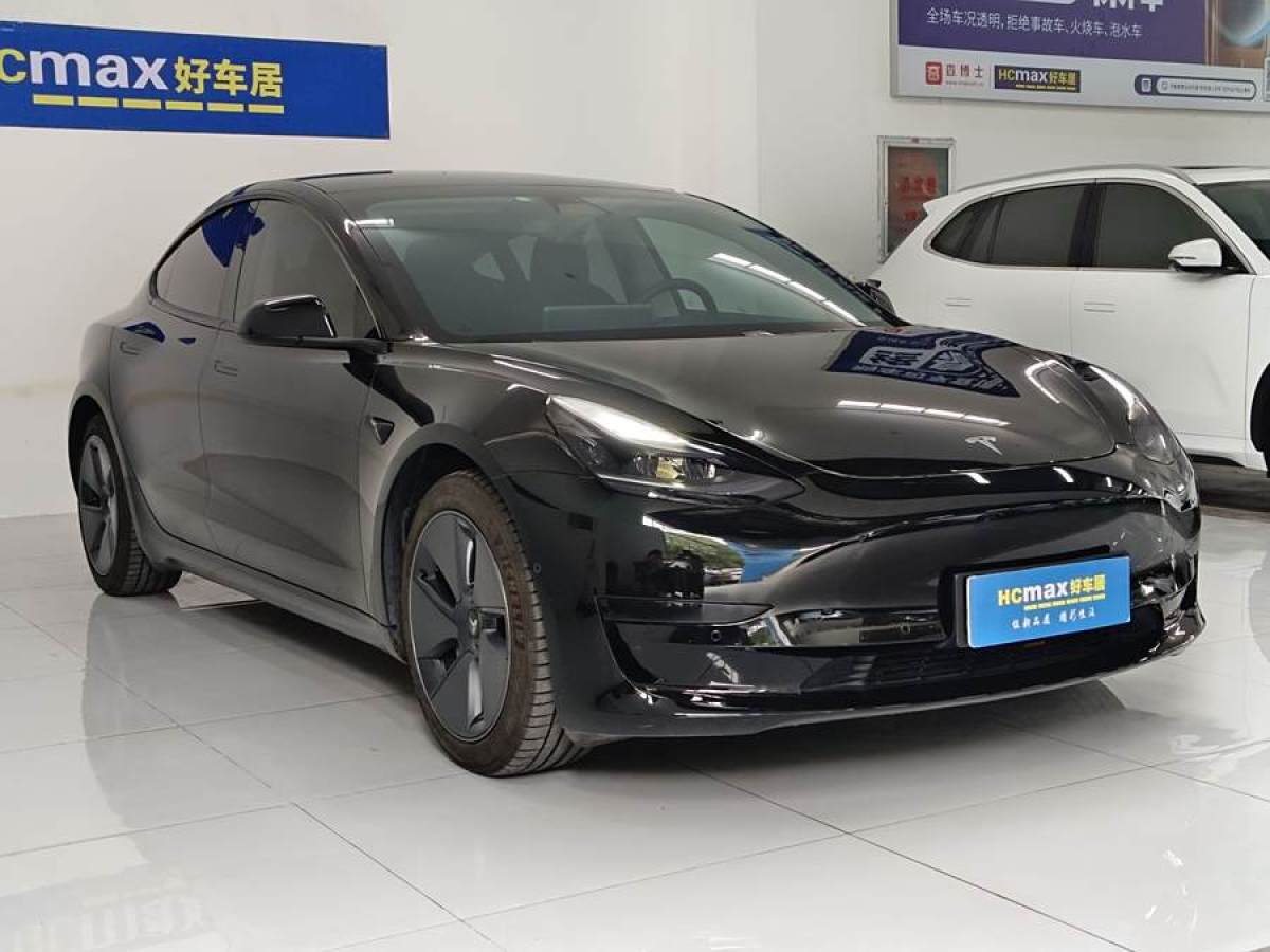 特斯拉 Model 3  2021款 改款 標(biāo)準(zhǔn)續(xù)航后驅(qū)升級(jí)版圖片