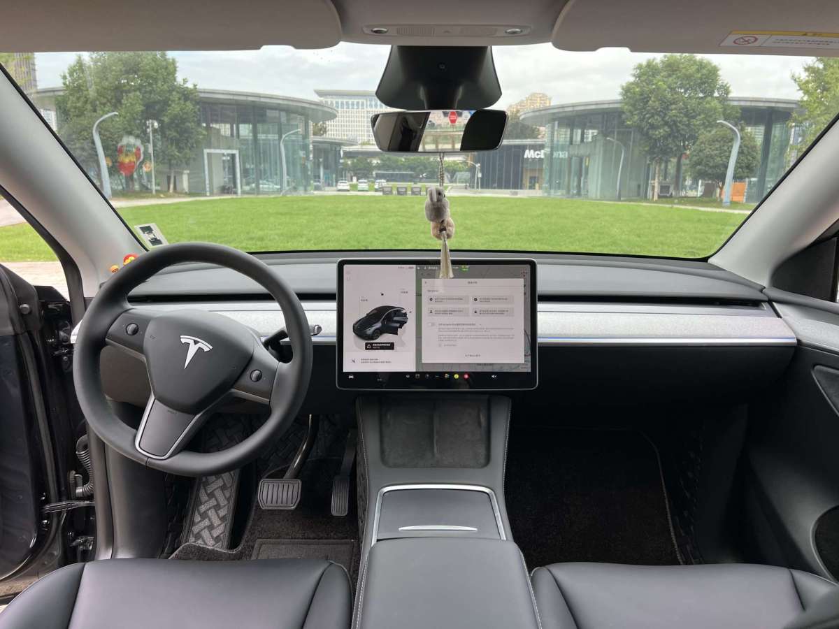 特斯拉 Model Y  2022款 后輪驅(qū)動(dòng)版圖片