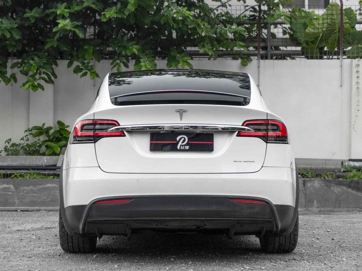 2020年1月特斯拉 Model X  2019款 長(zhǎng)續(xù)航版