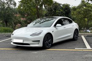 Model 3 特斯拉 長續(xù)航后驅版