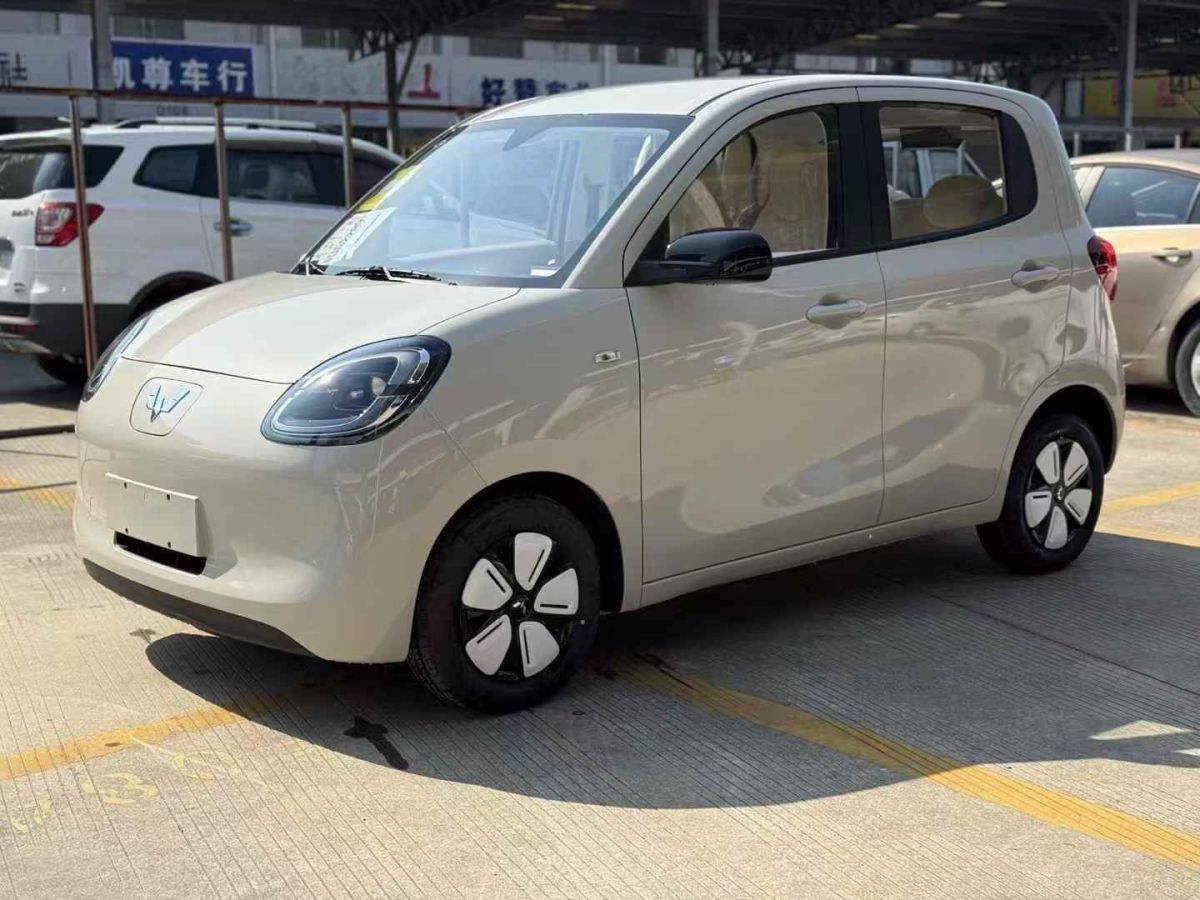 五菱 菱勢(shì)黃金小卡  2025款 倉(cāng)柵 頂配版圖片
