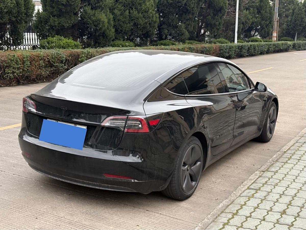 特斯拉 Model 3  2020款 改款 標準續(xù)航后驅升級版圖片