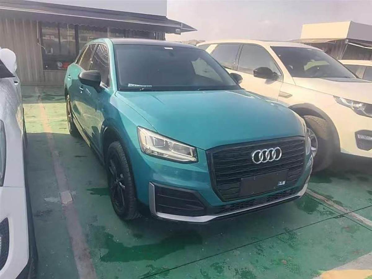 奧迪 奧迪Q2L  2021款 35 TFSI 進(jìn)取動(dòng)感型圖片