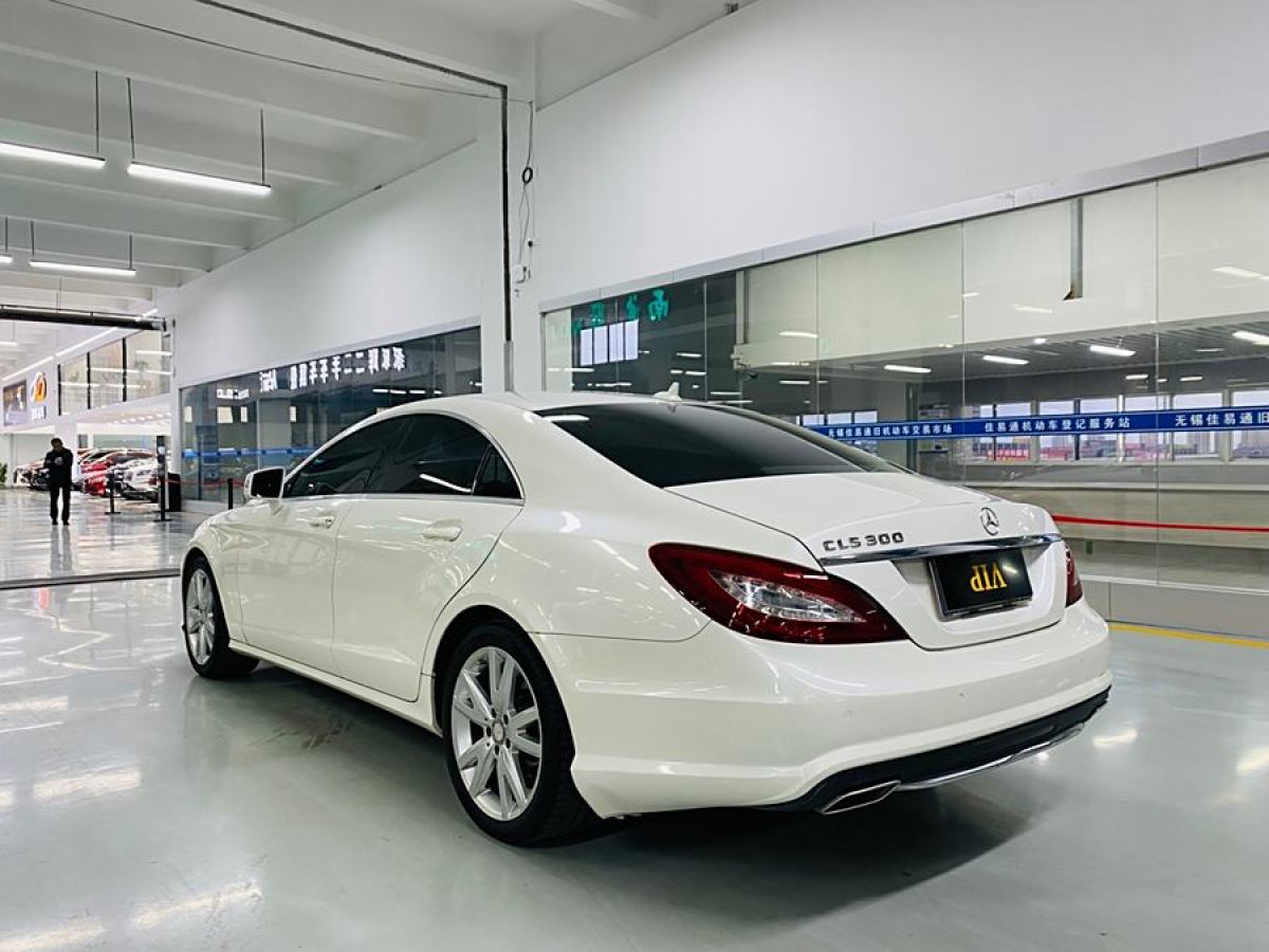 奔馳 奔馳CLS級  2012款 CLS 300 CGI圖片