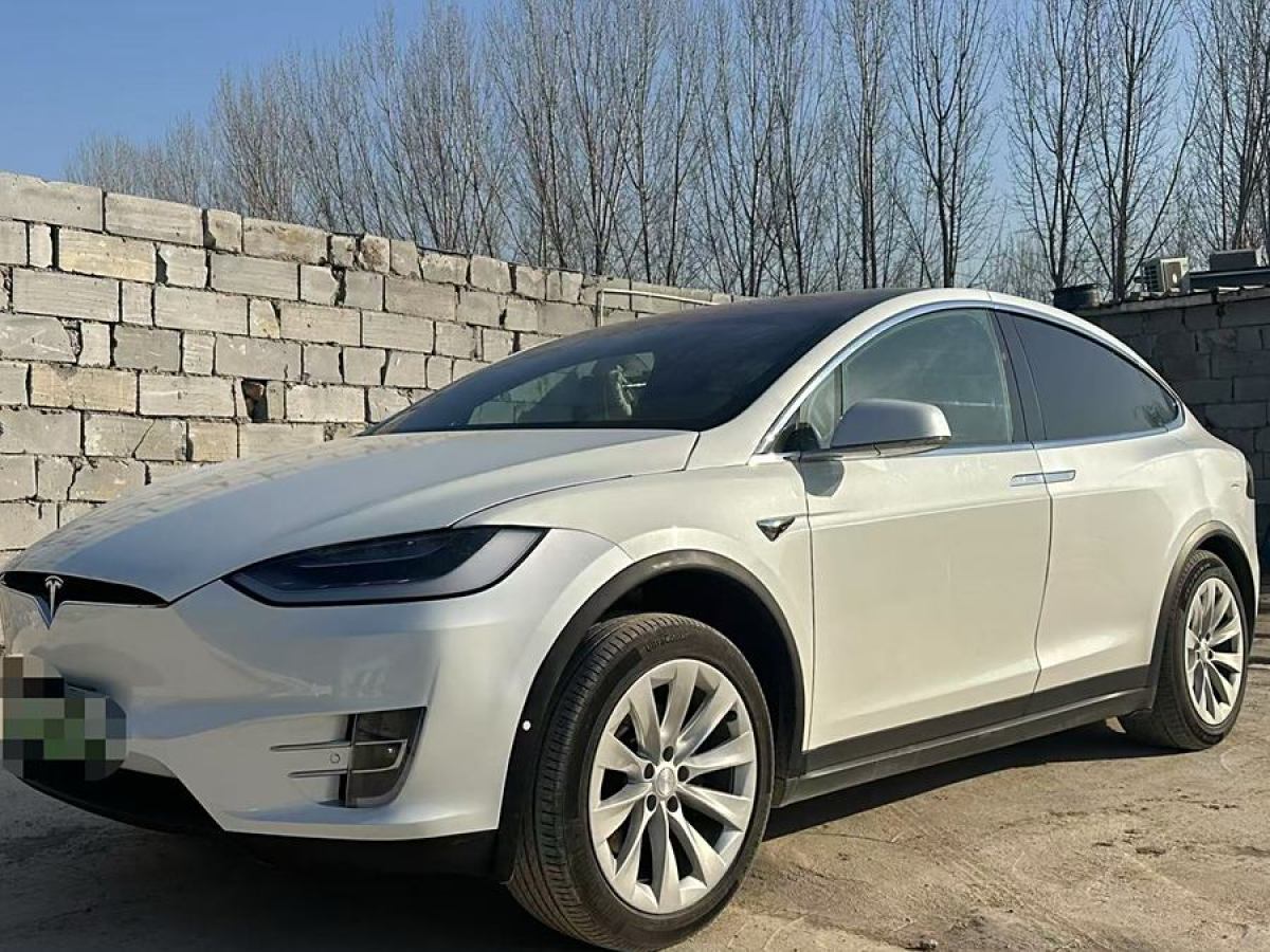 特斯拉 Model X  2019款 長續(xù)航版圖片