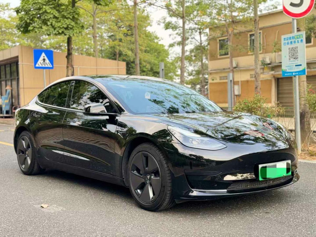 特斯拉 Model S  2023款 三電機(jī)全輪驅(qū)動(dòng) Plaid版圖片