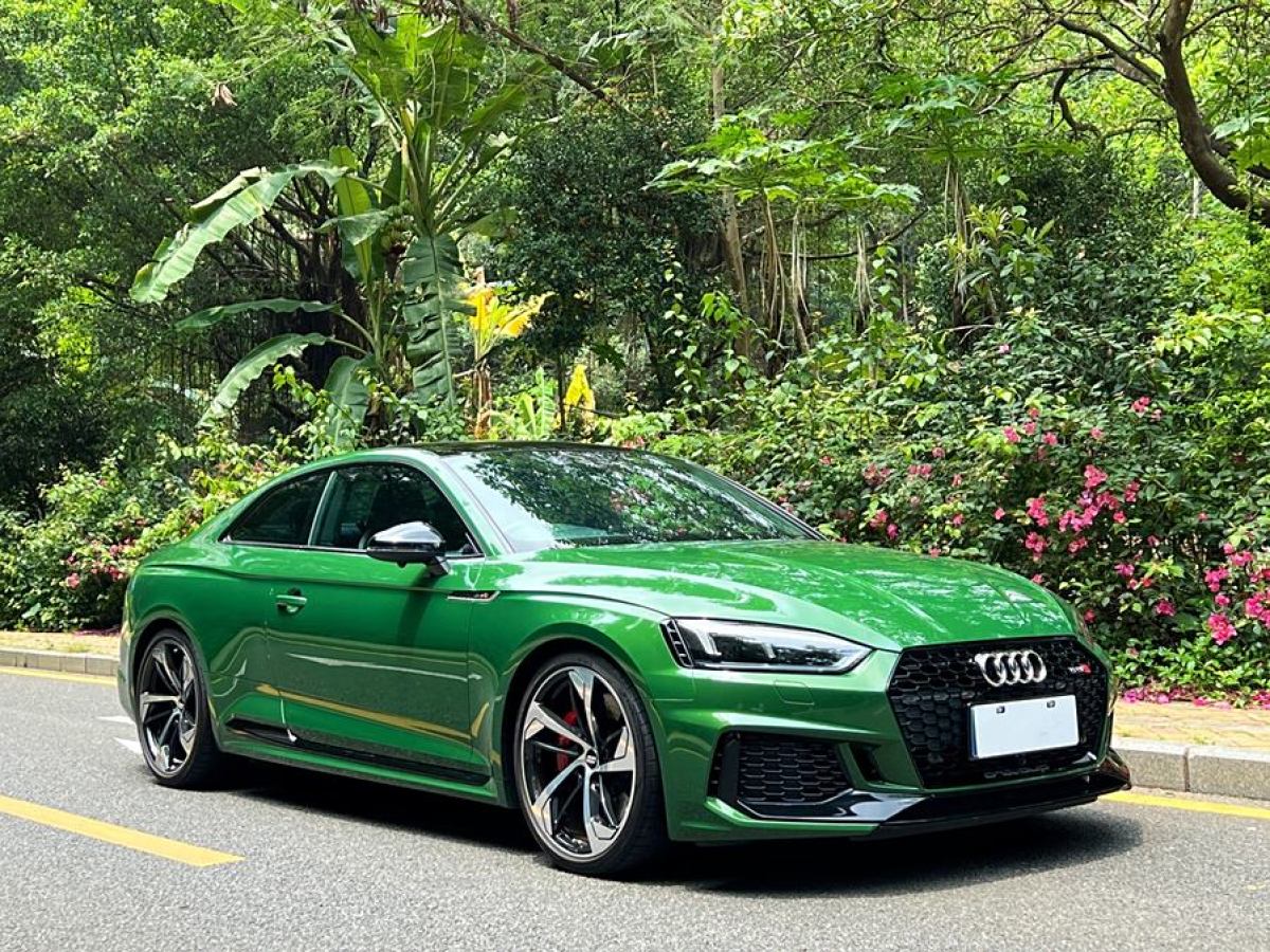 奧迪 奧迪RS 5  2019款 RS 5 2.9T Coupe圖片