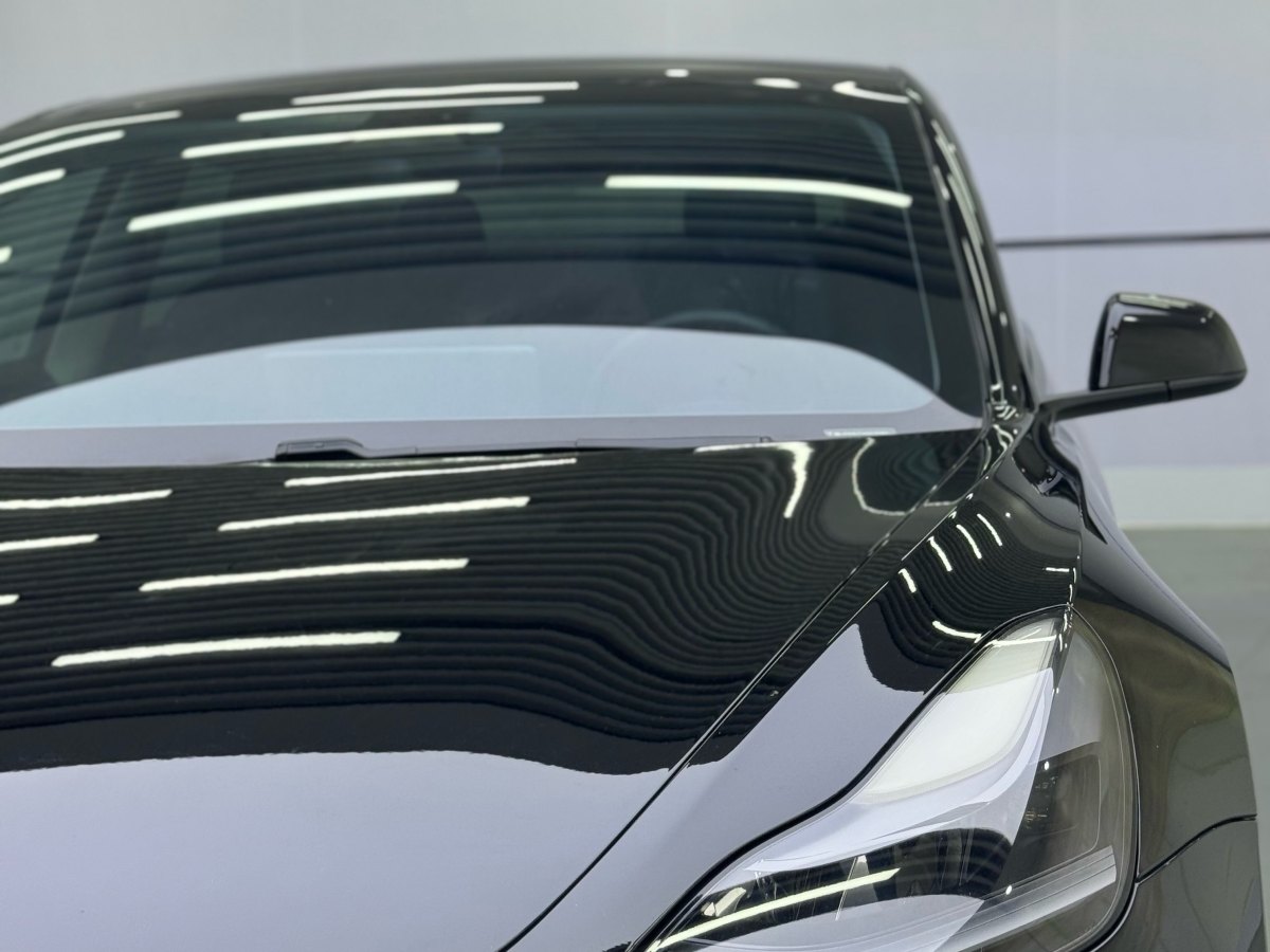 特斯拉 Model 3  2019款 標(biāo)準(zhǔn)續(xù)航后驅(qū)升級(jí)版圖片