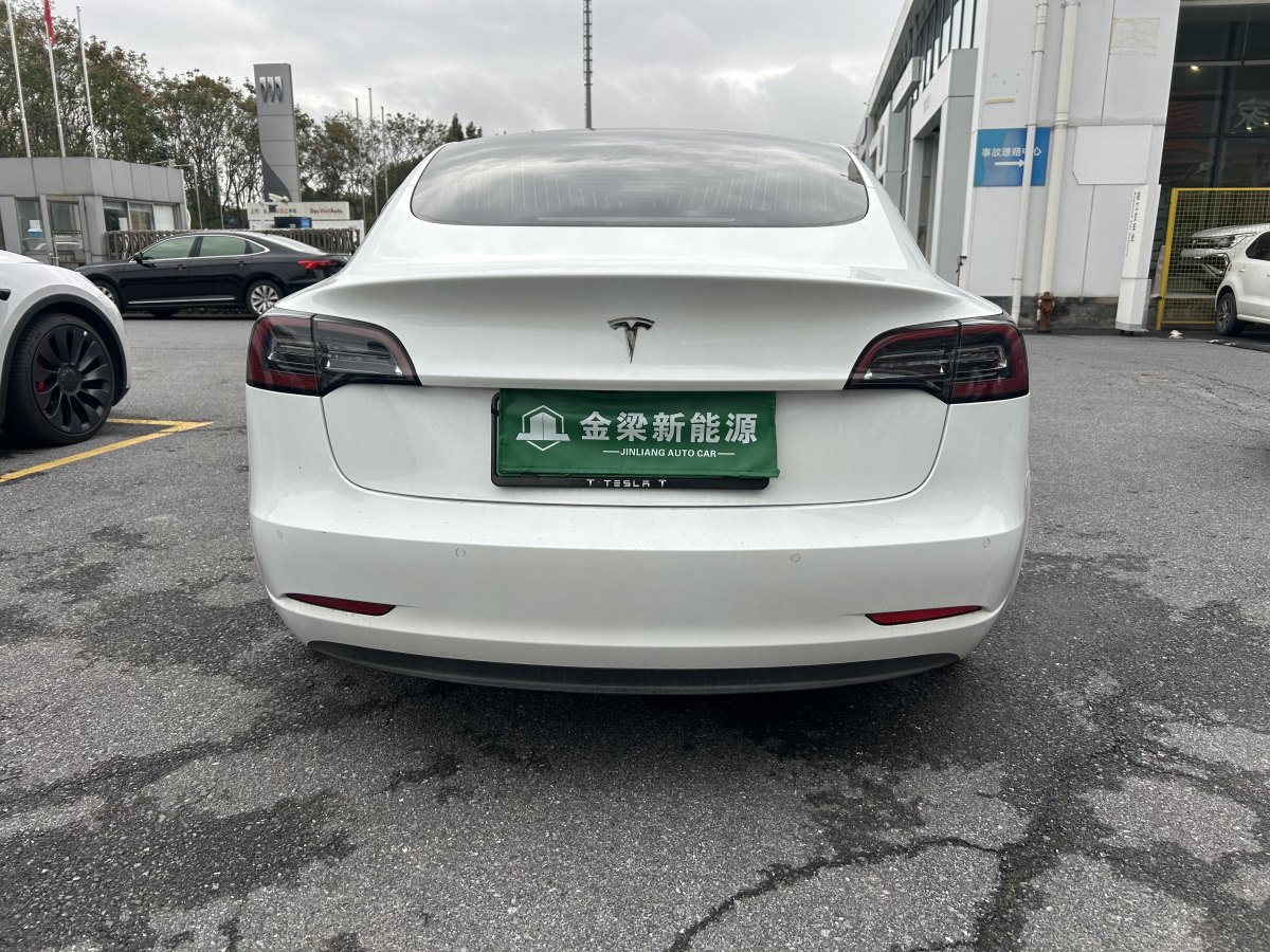 特斯拉 Model 3  2019款 長續(xù)航后驅(qū)版圖片