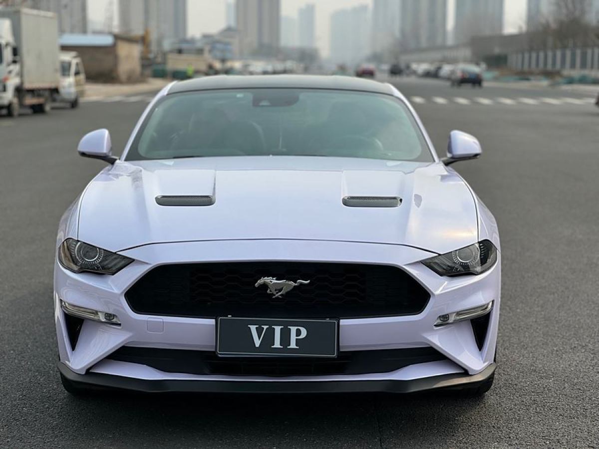 福特 Mustang  2019款 2.3L EcoBoost圖片