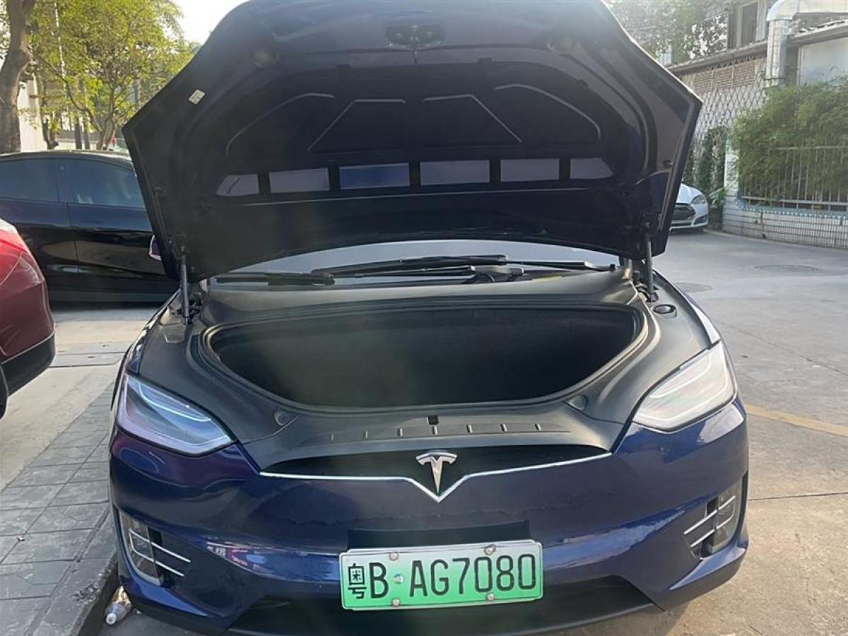 特斯拉 Model X  2020款 長續(xù)航升級版圖片