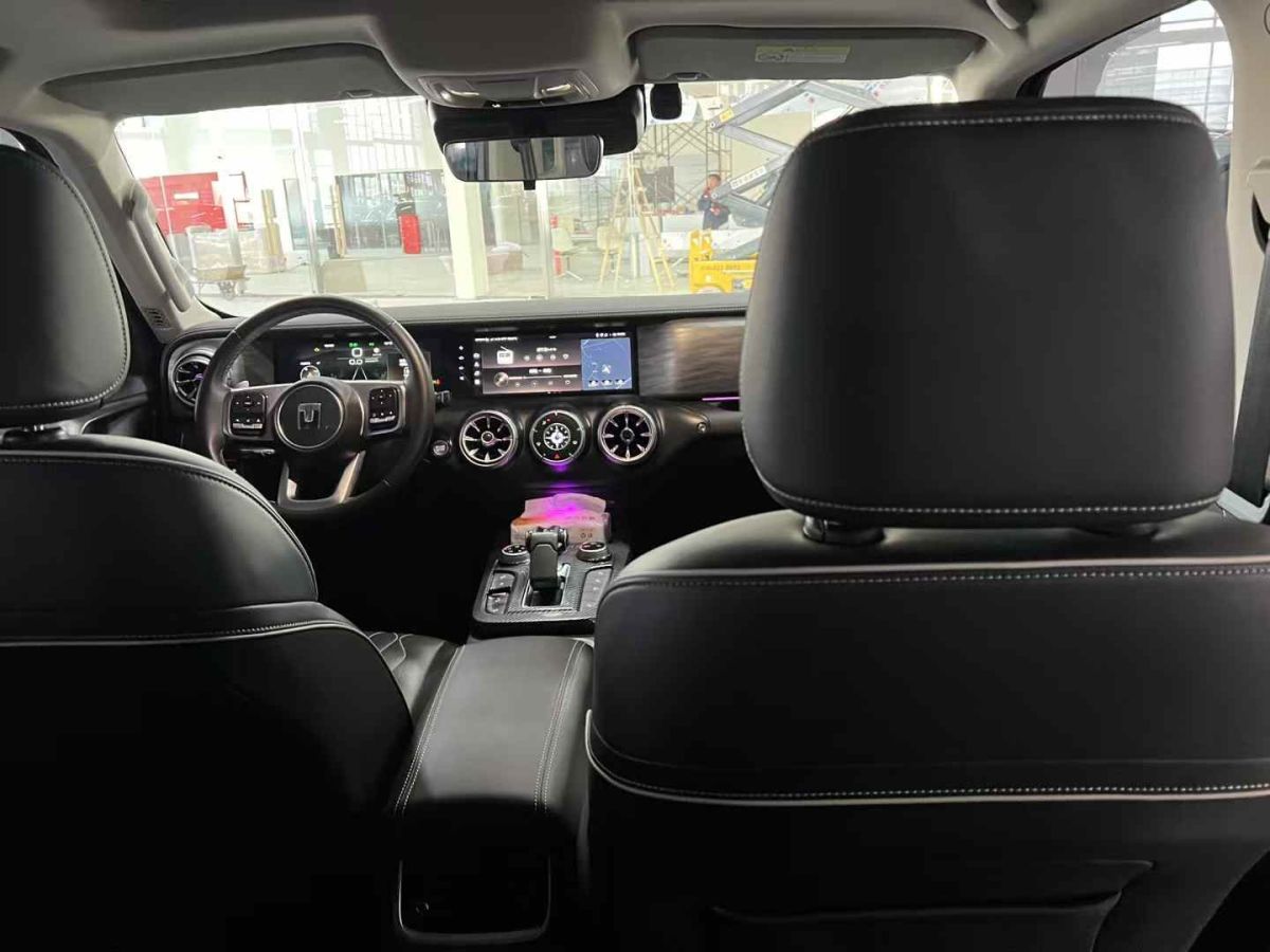坦克 坦克300  2021款 城市版 2.0T 很有型圖片