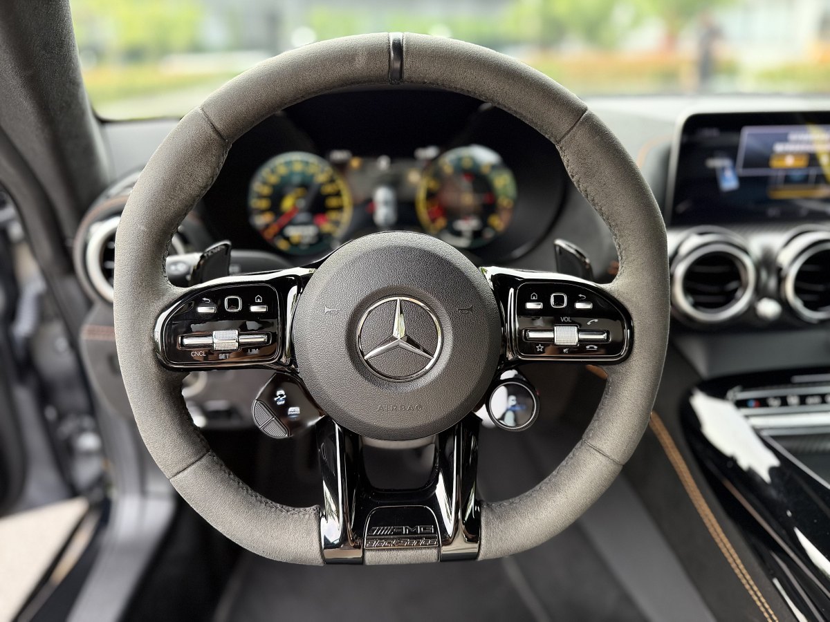 奔馳 奔馳AMG GT  2019款 AMG GT R圖片