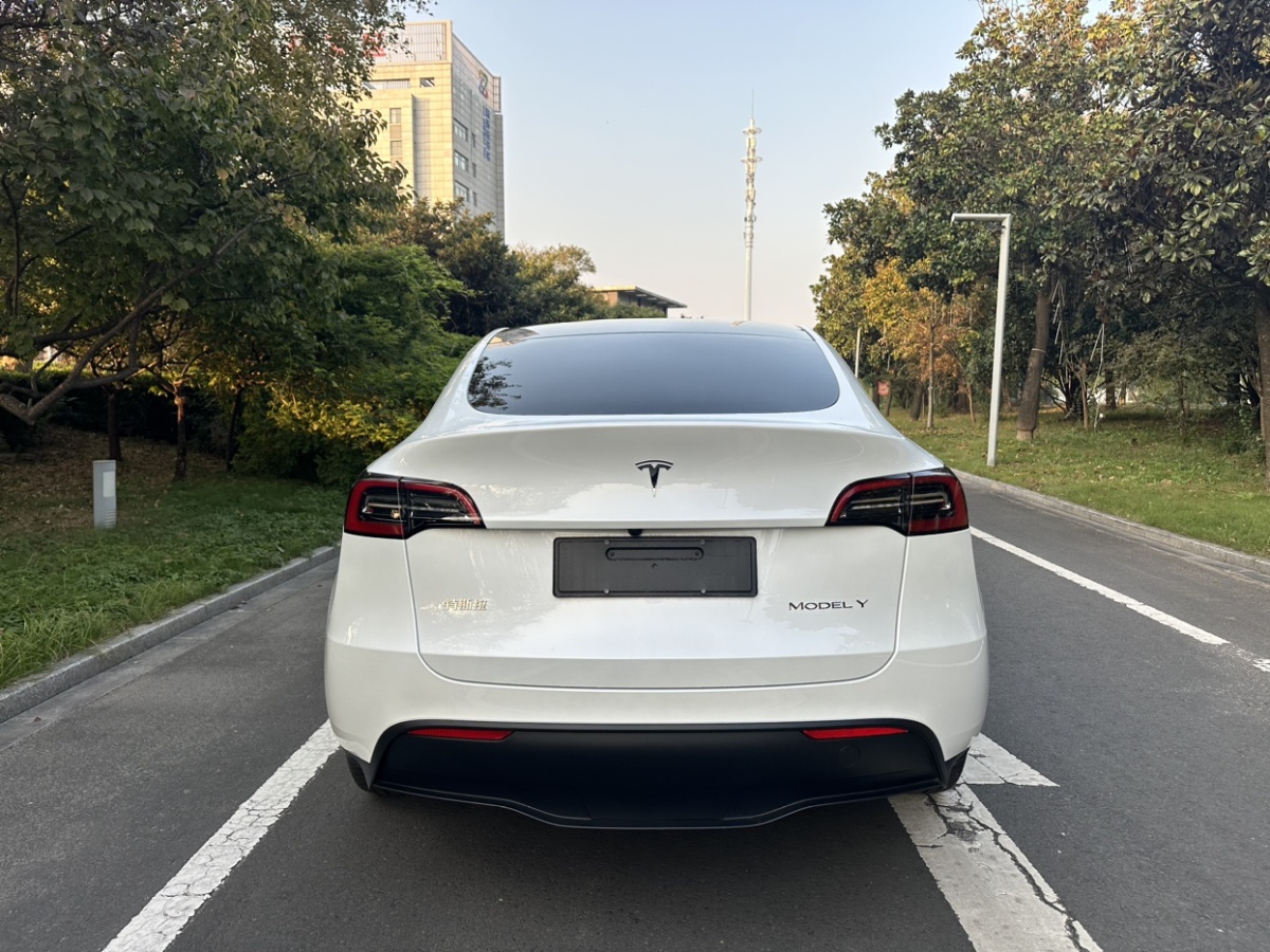 特斯拉 Model 3  2024款 長(zhǎng)續(xù)航全輪驅(qū)動(dòng)版圖片