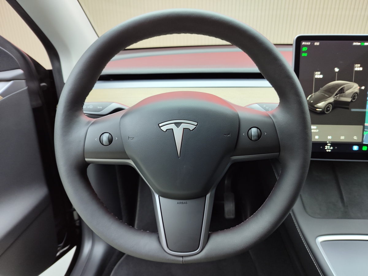 特斯拉 Model Y  2021款 標(biāo)準(zhǔn)續(xù)航后驅(qū)版圖片