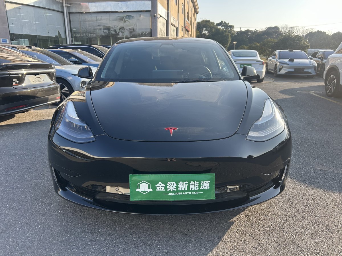 特斯拉 Model 3  2021款 標準續(xù)航后驅(qū)升級版 3D6圖片