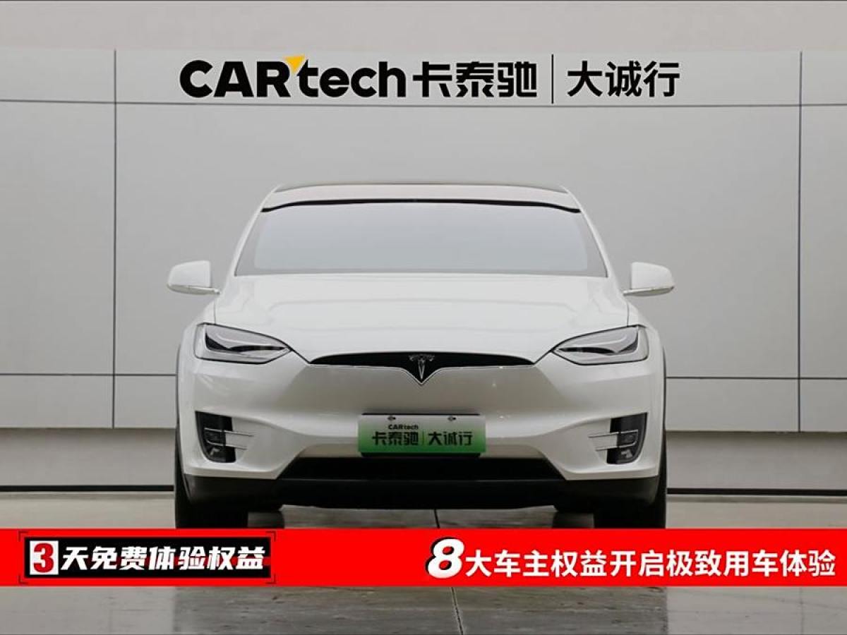 特斯拉 Model X  2020款 長續(xù)航升級版圖片