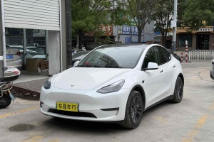 Model Y 特斯拉 標(biāo)準(zhǔn)續(xù)航后驅(qū)版