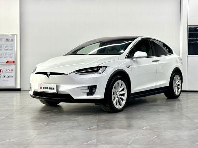 2020年1月 特斯拉 Model X 長(zhǎng)續(xù)航版圖片