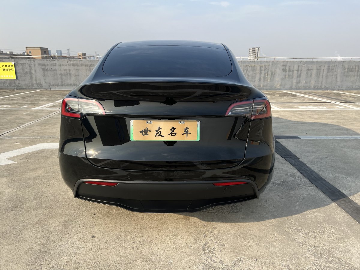 特斯拉 Model 3  2020款 改款 長續(xù)航后輪驅(qū)動版圖片