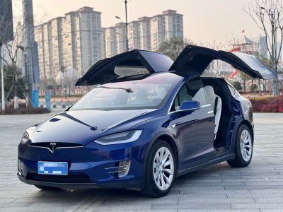 2016年12月 特斯拉 Model X Model X 75D圖片